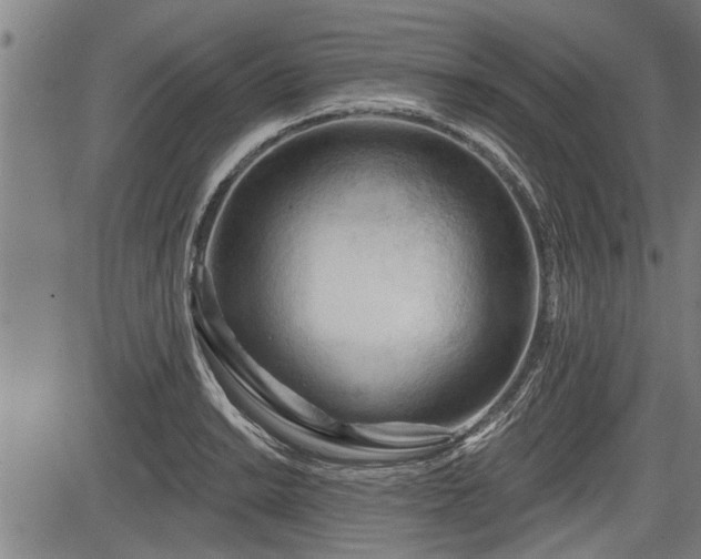 X0000083611038200702201244