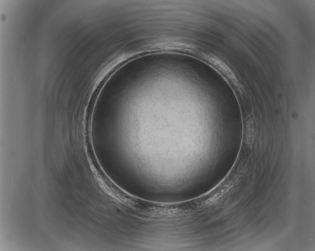 X0000083611039200702201244