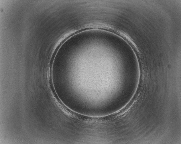 X0000083611040200702201244