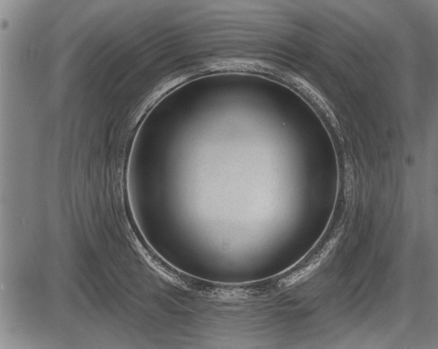 X0000083611041200702201244