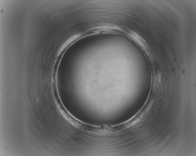 X0000083611042200702201244