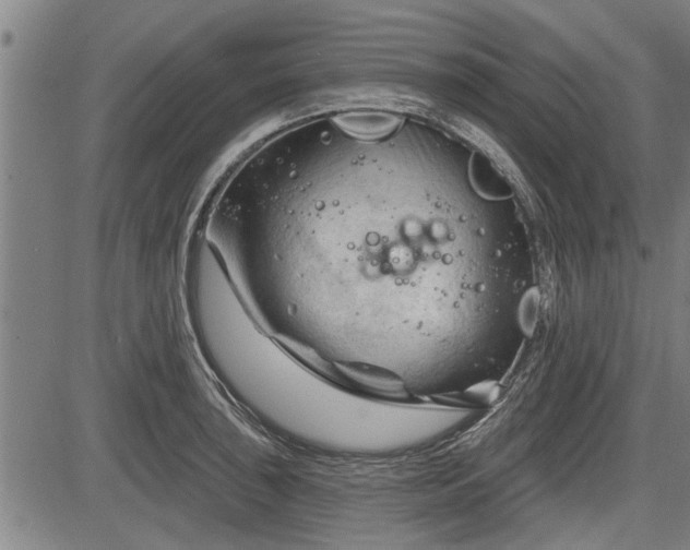 X0000083611043200702201244