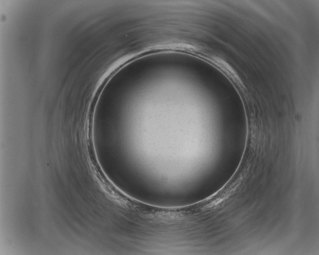 X0000083611044200702201244