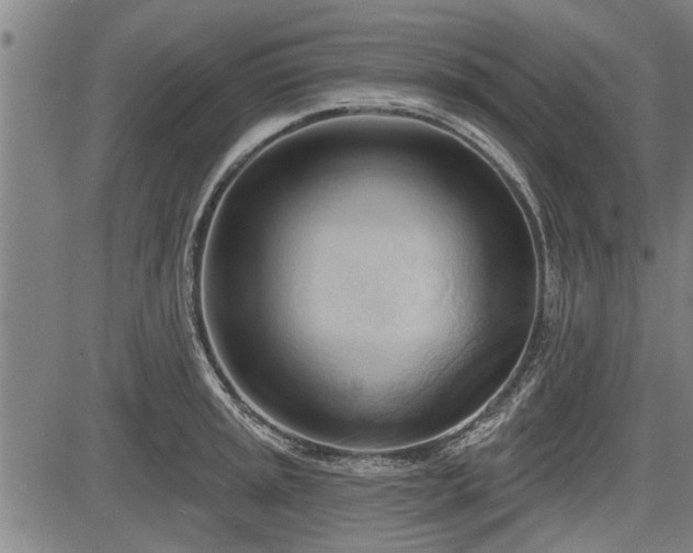 X0000083611045200702201244