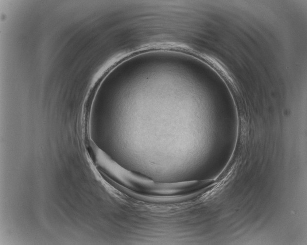 X0000083611046200702201244