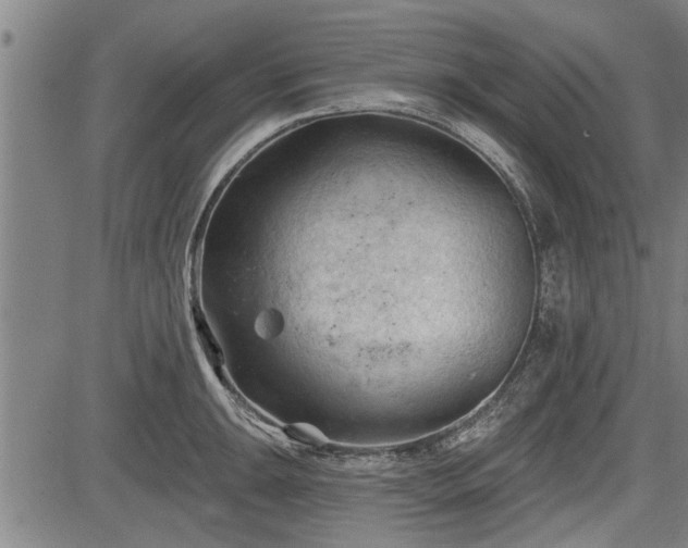 X0000083611047200702201244