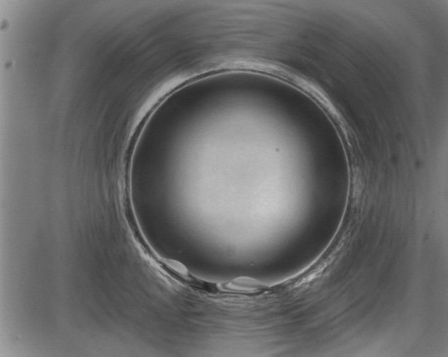 X0000083611048200702201244