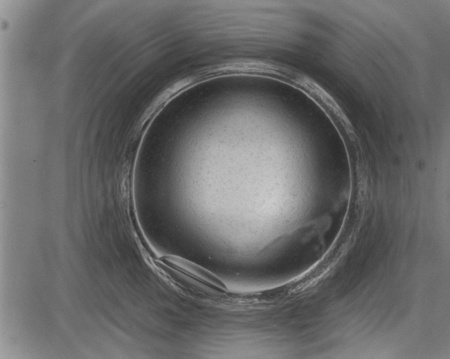 X0000083611049200702201244