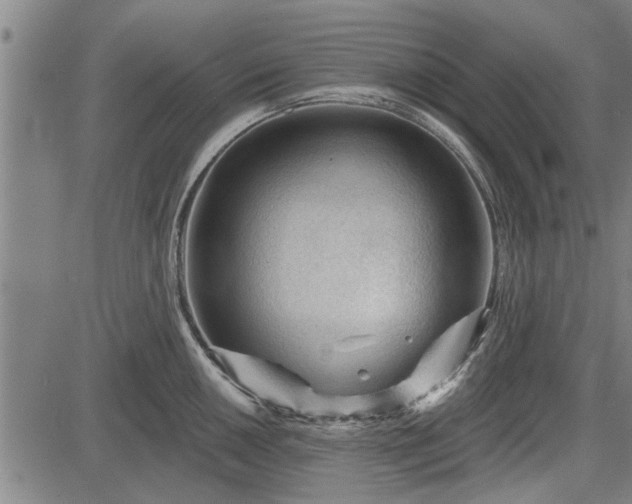 X0000083611050200702201245