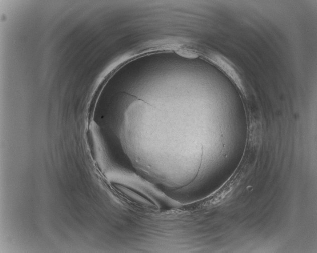 X0000083611051200702201245