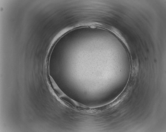 X0000083611053200702201245