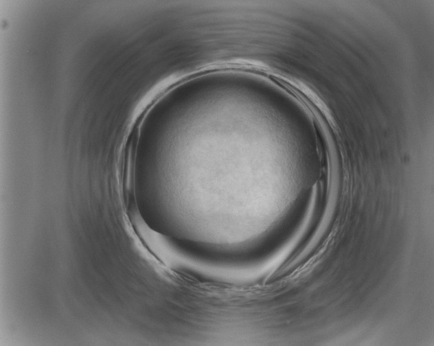 X0000083611054200702201245