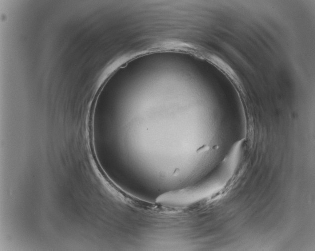 X0000083611055200702201245