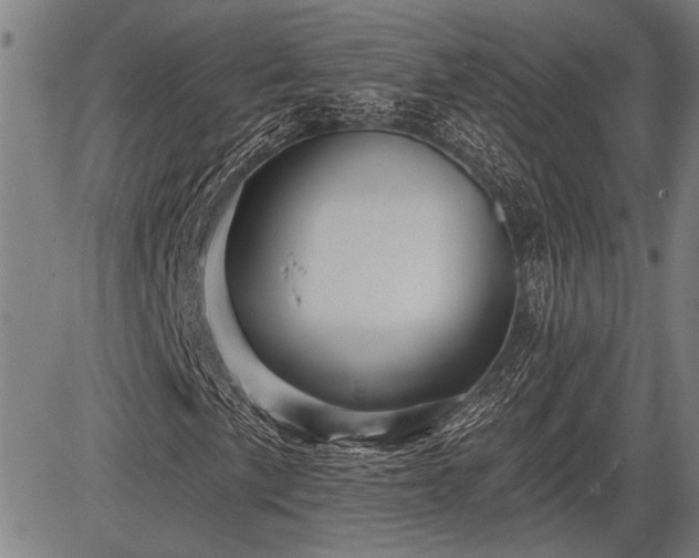 X0000083611057200702201244