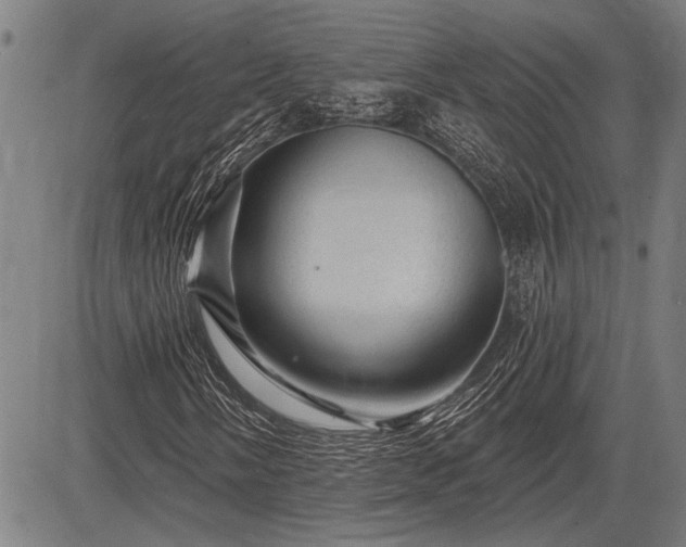 X0000083611058200702201244