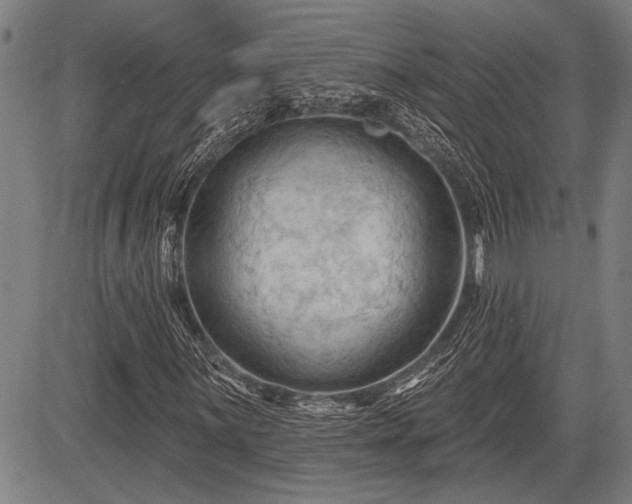 X0000083611059200702201244