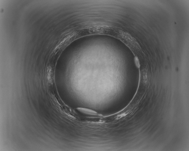 X0000083611060200702201244