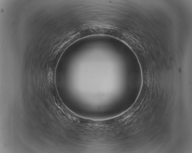 X0000083611061200702201244