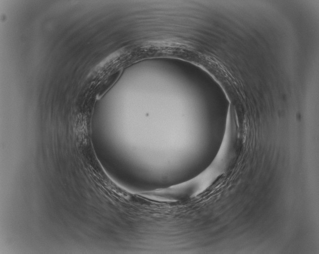 X0000083611062200702201244