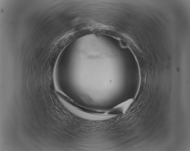 X0000083611063200702201244