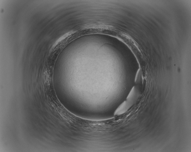 X0000083611064200702201244