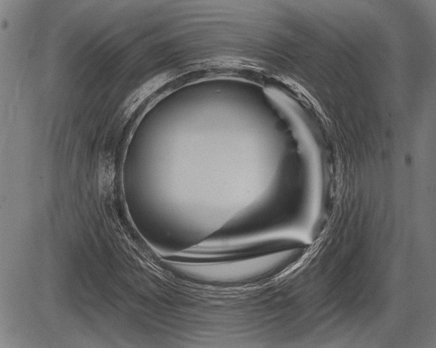 X0000083611065200702201244