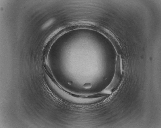 X0000083611066200702201244