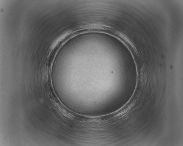 X0000083611067200702201244