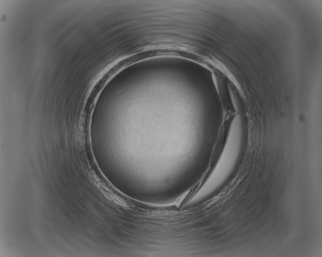 X0000083611068200702201244