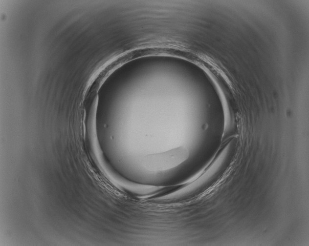 X0000083611069200702201244