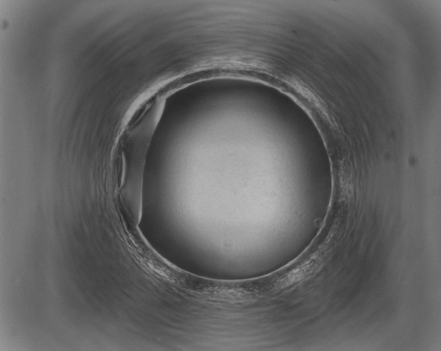 X0000083611070200702201244