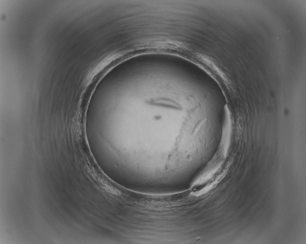 X0000083611071200702201244