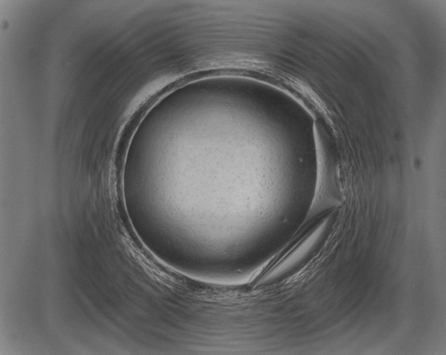 X0000083611072200702201244