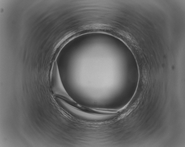 X0000083611073200702201244