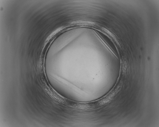 X0000083611074200702201244