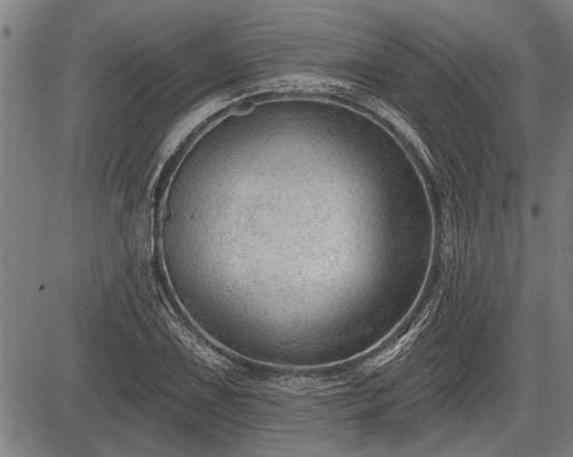 X0000083611075200702201243