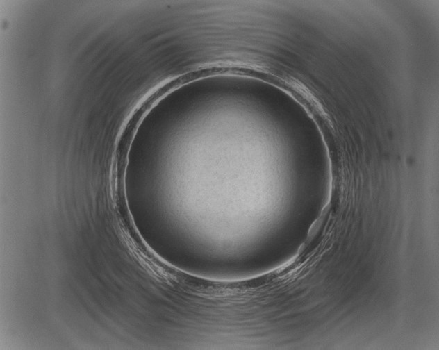 X0000083611076200702201243