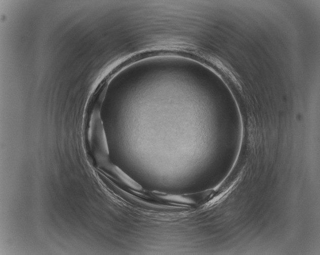 X0000083611077200702201243