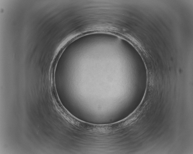 X0000083611078200702201243