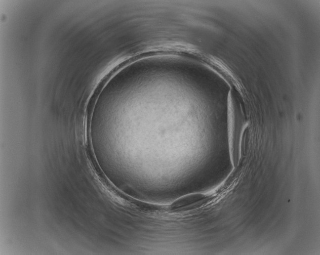 X0000083611079200702201243