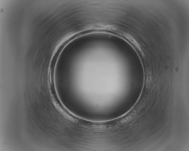 X0000083611080200702201243