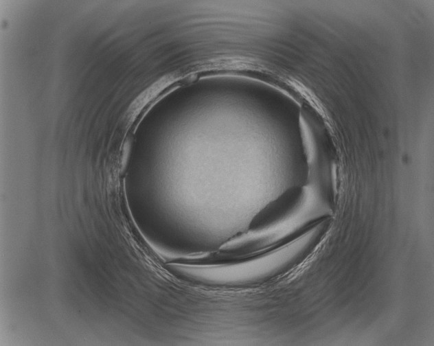 X0000083611081200702201243