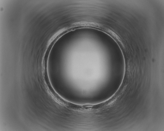 X0000083611082200702201243