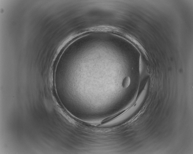 X0000083611083200702201243