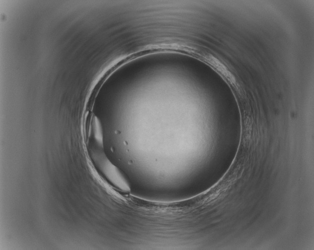 X0000083611084200702201243