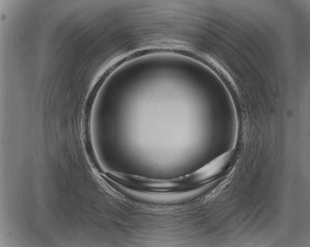 X0000083611085200702201243