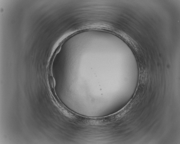 X0000083611086200702201243