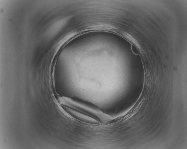 X0000083611087200702201243