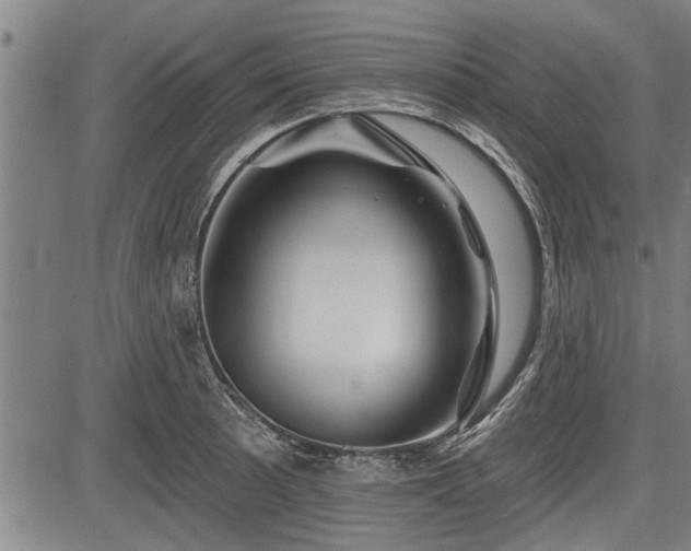 X0000083611089200702201243