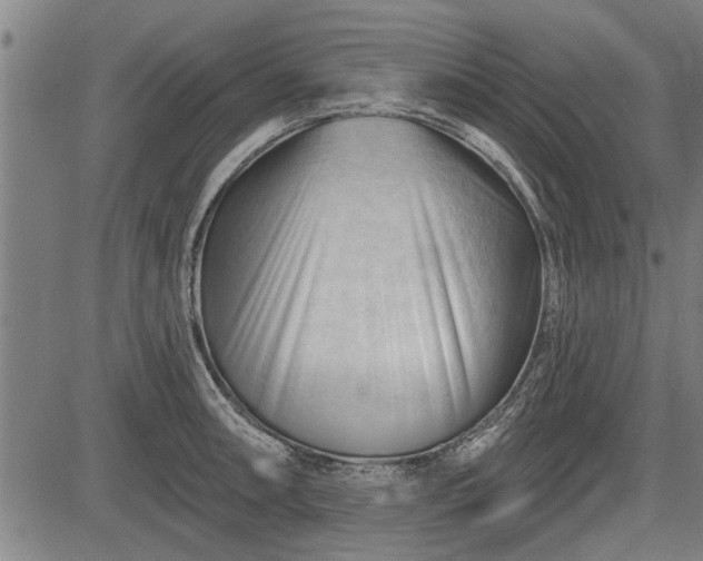 X0000083611090200702201243